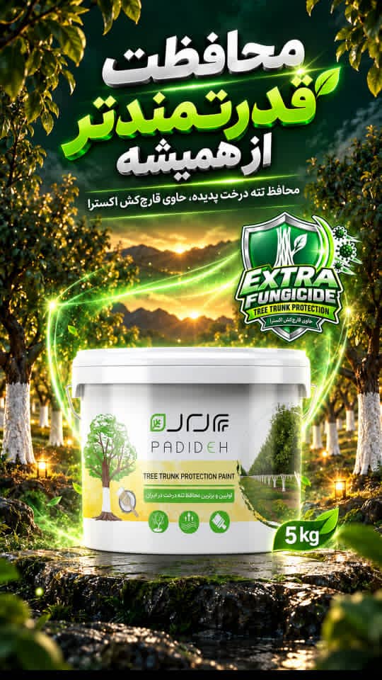 محافظ  تنه درخت پدیده ۵ کیلویی